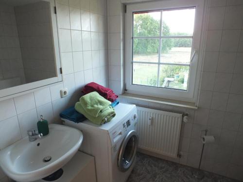 旧施韦林Waldblick的一间带洗衣机和水槽的浴室