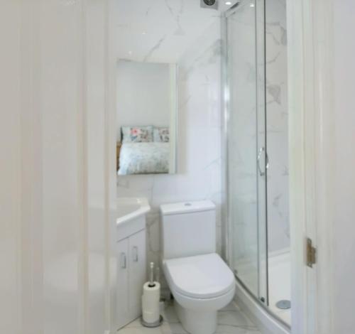 泰晤士河畔金斯顿Spacious 2-bed apartment in central Kingston near Richmond Park的白色的浴室设有卫生间和淋浴。