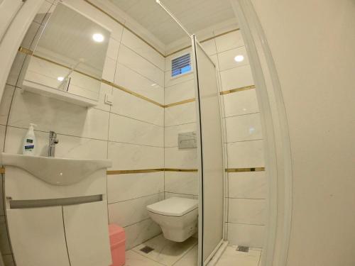 亚洛瓦PASHA APART~BOUTİQUE HOTEL/YALOVA的一间带卫生间和水槽的浴室