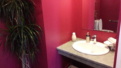 BonsonHOTEL HOSTELLERIE DES VOYAGEURS的一间带水槽和粉红色墙壁的浴室