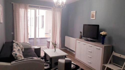 克卢日-纳波卡Ultra Central - Stunning Two Bedroom Apartment的带沙发和电视的客厅