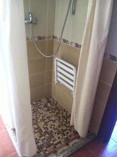 圣何塞Hotel-Apartamento Carolina y Vanessa的淋浴、加热器和浴帘