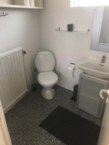 约灵Det Bette Hus的浴室配有白色卫生间和盥洗盆。