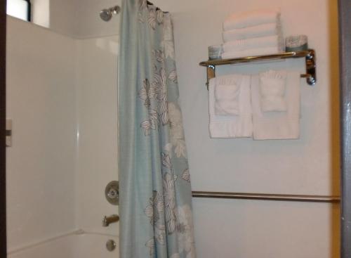 Crestline北岸旅馆的浴室配有淋浴帘和毛巾