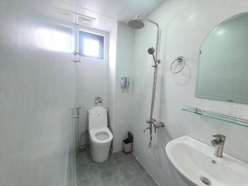 大叻Hello Dalat Hostel的一间带卫生间、水槽和镜子的浴室