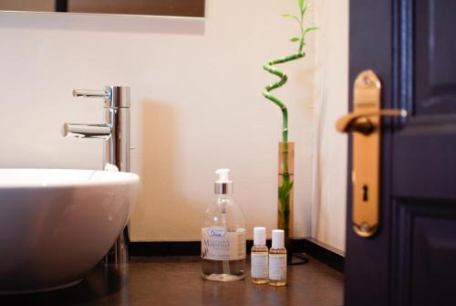里昂桑切斯塔蒂亚娜旅馆的一间带水槽和一瓶肥皂的浴室