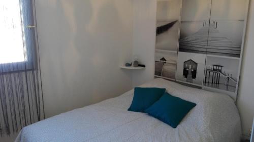 布科·莱斯白老城appartement T2bis idealement situé au bord du lac marin de Vieux Boucau的一间卧室配有一张带蓝色枕头的床