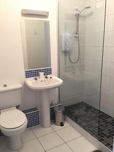 韦克斯福德韦克斯福德市中心公寓 的浴室配有卫生间、盥洗盆和淋浴。