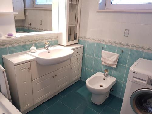 斯洛文尼亚科尼采Apartment Venko的一间带水槽和卫生间的浴室