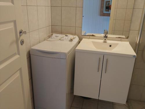 凯于庞厄尔Nedre Amla Fjord Apartment的一间带水槽和一台洗衣机的小浴室