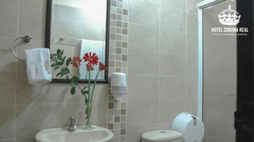 Santander de QuilichaoHotel corona real的一间带卫生间、水槽和镜子的浴室