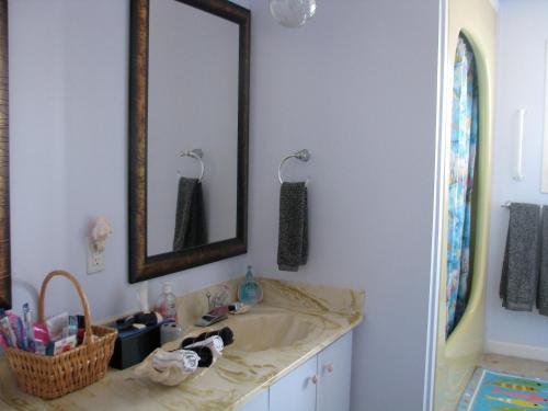 坎贝尔河萤火虫住宿加早餐旅馆的一间带水槽和镜子的浴室