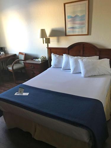 苏圣玛丽Americas Best Value Inn Sault Ste. Marie的酒店客房配有一张带白色床单和枕头的大床。