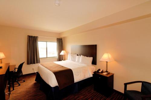 DenisonCobblestone Inn & Suites - Denison | Oak Ridge的配有一张床和一张书桌的酒店客房