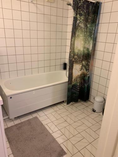 莱克内斯Cozy & private room in the middle of Lofoten的设有带浴缸和淋浴的浴室。