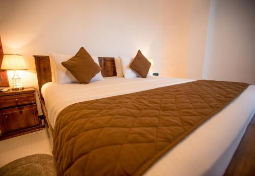 科伦坡Opulence Colombo的一间卧室配有一张带棕色毯子的大床