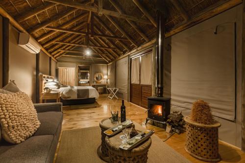 阿马卡拉保护区Bukela Game Lodge - Amakhala Game Reserve的带沙发和壁炉的客厅