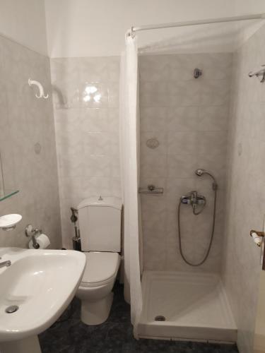 Granitsa帕呐拉麻酒店的浴室配有卫生间、淋浴和盥洗盆。