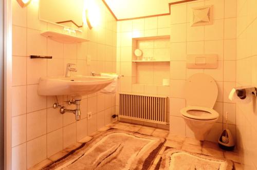 阿布特瑙马格达莱纳民宿的一间带水槽和卫生间的浴室