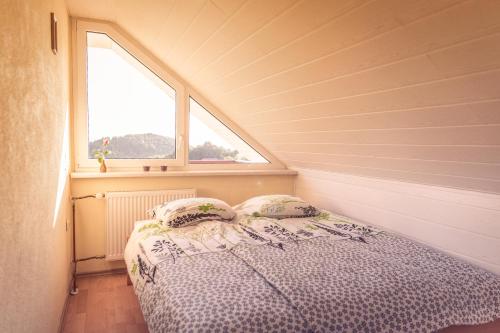 MirnaVineyard Cottage Urban的一个小房间的一个床位,设有窗户