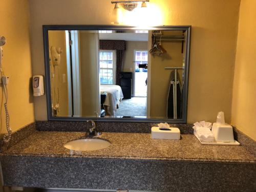 杰克逊维尔艾默生汽车旅馆 - 杰克逊维尔的浴室的柜台设有水槽和镜子