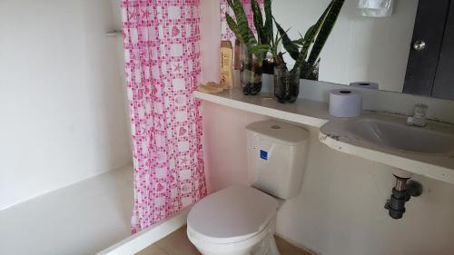 IcononzoEl Recreo Hogar Campesino的一间带粉红色淋浴帘和卫生间的浴室