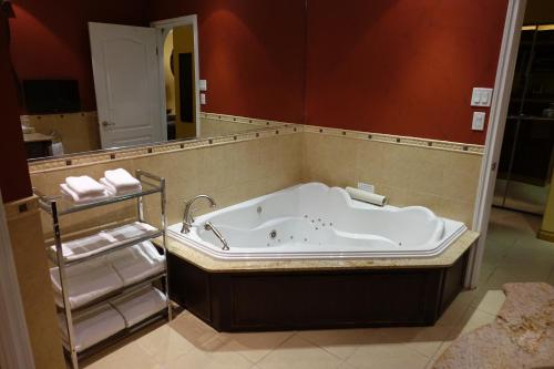 埃德蒙顿路易城堡会议中心及酒店的带浴缸的浴室和大镜子