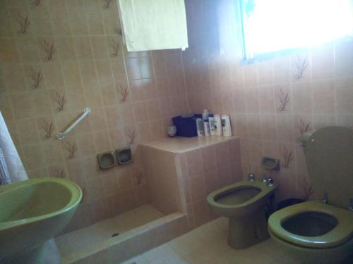 蒂格雷Gaia Hostal的浴室配有绿色卫生间和水槽。