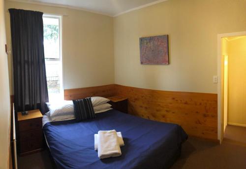 国家公园Pukenui Lodge的一间卧室设有蓝色的床和窗户。