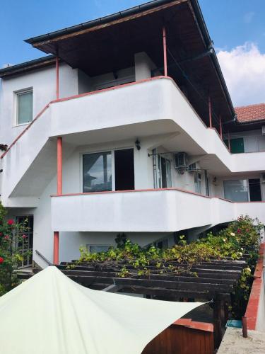 克尔贾利Guest House Dobrev的一座白色的建筑,在台阶上种有植物