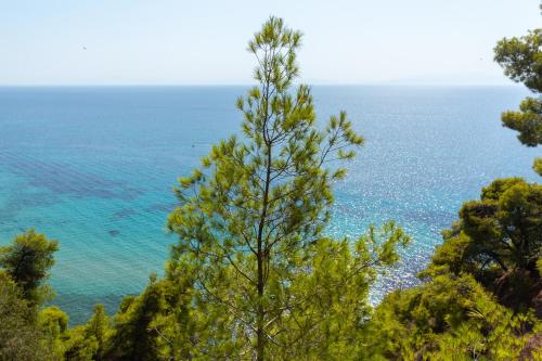 海景或在别墅看到的海景