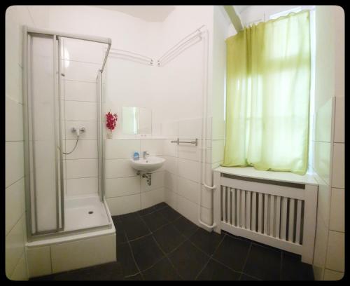 柏林199号青旅的带淋浴和盥洗盆的浴室
