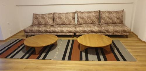瓦勒博内Bujtinat e lugines Valbone的客厅配有沙发和2张桌子