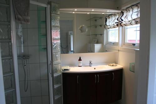 斯塔姆松Tinabua Rorbu Lofoten的浴室配有盥洗盆和带镜子的淋浴
