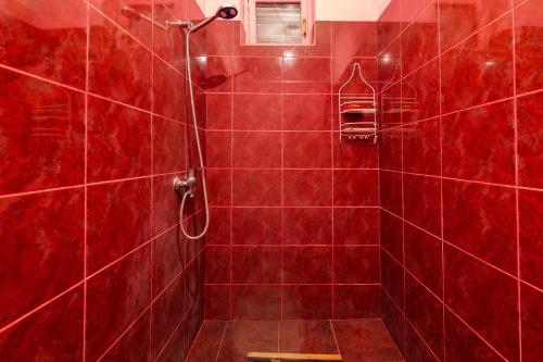 拉戈代希The Kiwi House的红色瓷砖浴室设有红色瓷砖淋浴