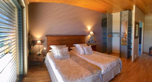 圣米舍德谢洛Au Chant du Riou的一间卧室配有一张大床和两个枕头