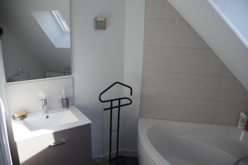 圣马洛Gîte la Briantaise的浴室配有盥洗盆、卫生间和浴缸。