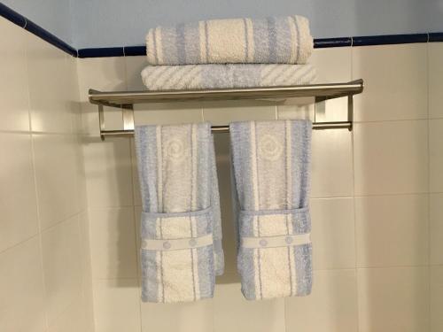 康塞普西翁新镇Finca Las Campanas II的浴室毛巾架上的一束毛巾