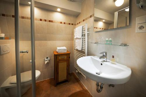 温特贝格卡斯图夫博斯特酒店的一间带水槽和淋浴的浴室