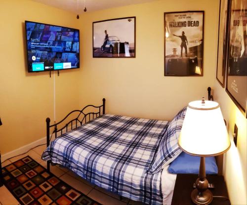 奥兰多A Private Bedroom的一间卧室配有一张床和一台平面电视