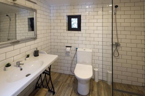 托普利察Vila Mura的一间带卫生间、水槽和镜子的浴室