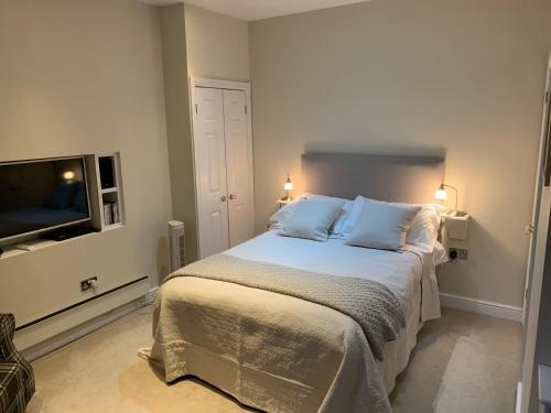 剑桥The Grapevine Studio的一间卧室配有一张床和一台平面电视