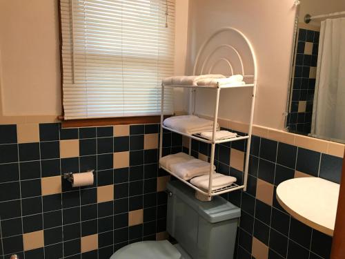 沙德伦Motel Grand的一间带卫生间和水槽的浴室