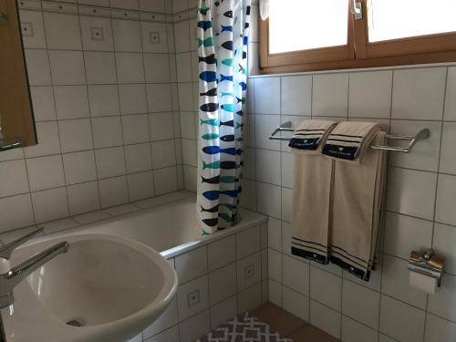 艾根塔尔默梅里木屋酒店的一间带水槽和淋浴帘的浴室