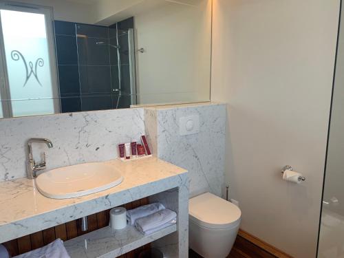 敦刻尔克Les chambres du Waterzooi的一间带水槽、卫生间和镜子的浴室