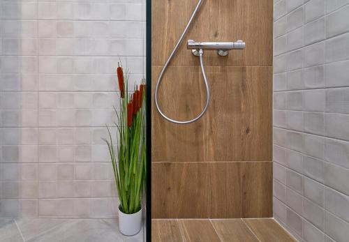 大特尔诺沃Adel Apartments的浴室里装有水管和植物的淋浴