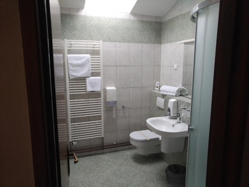 NašicePansion Ribnjak的一间带卫生间和水槽的浴室