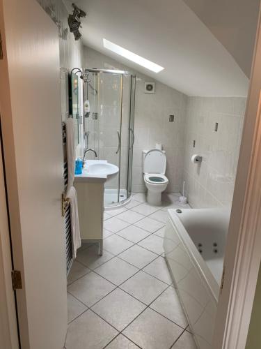 LittleboroughLake Lounge Rooms的带浴缸、卫生间和盥洗盆的浴室