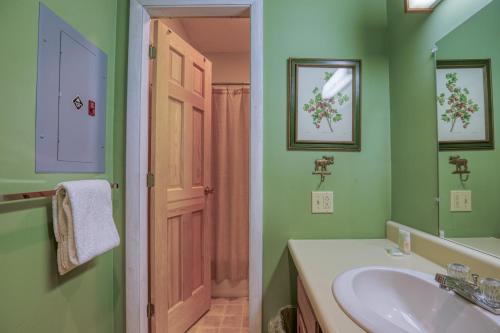 纽里Fall Line S209的绿色浴室设有水槽和镜子