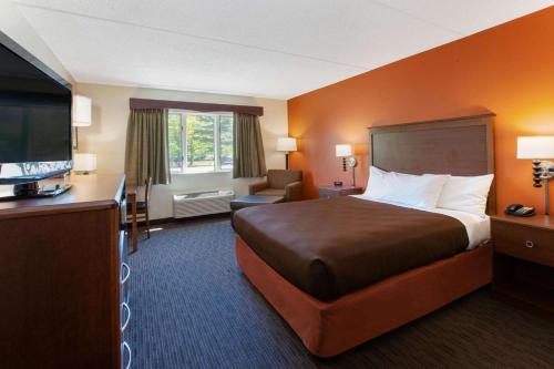 Silver City银城阿美瑞辛酒店别墅和套房汽车旅馆的配有一张床和一台平面电视的酒店客房
